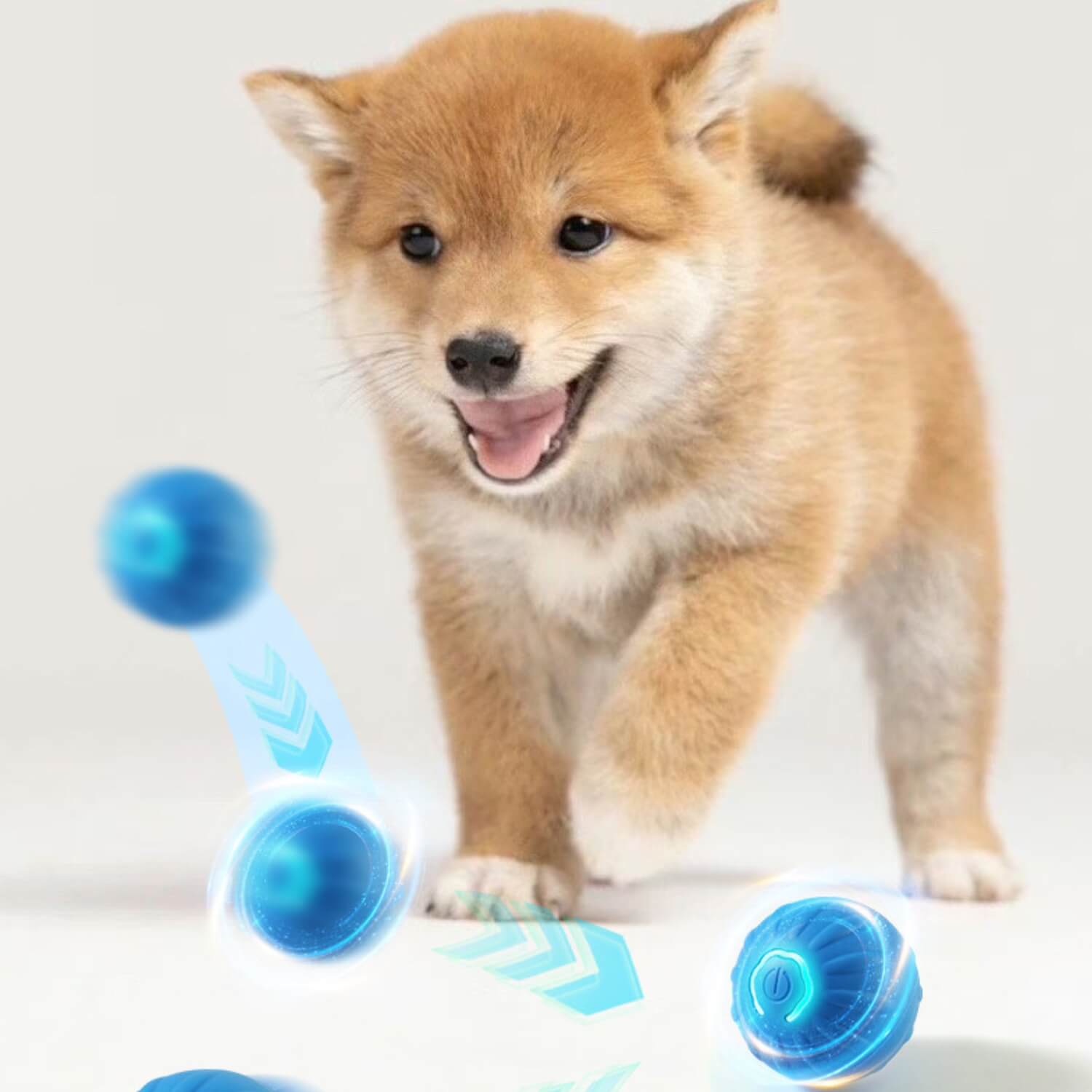 zwaartekracht springen hond bal puppy achtervolgen